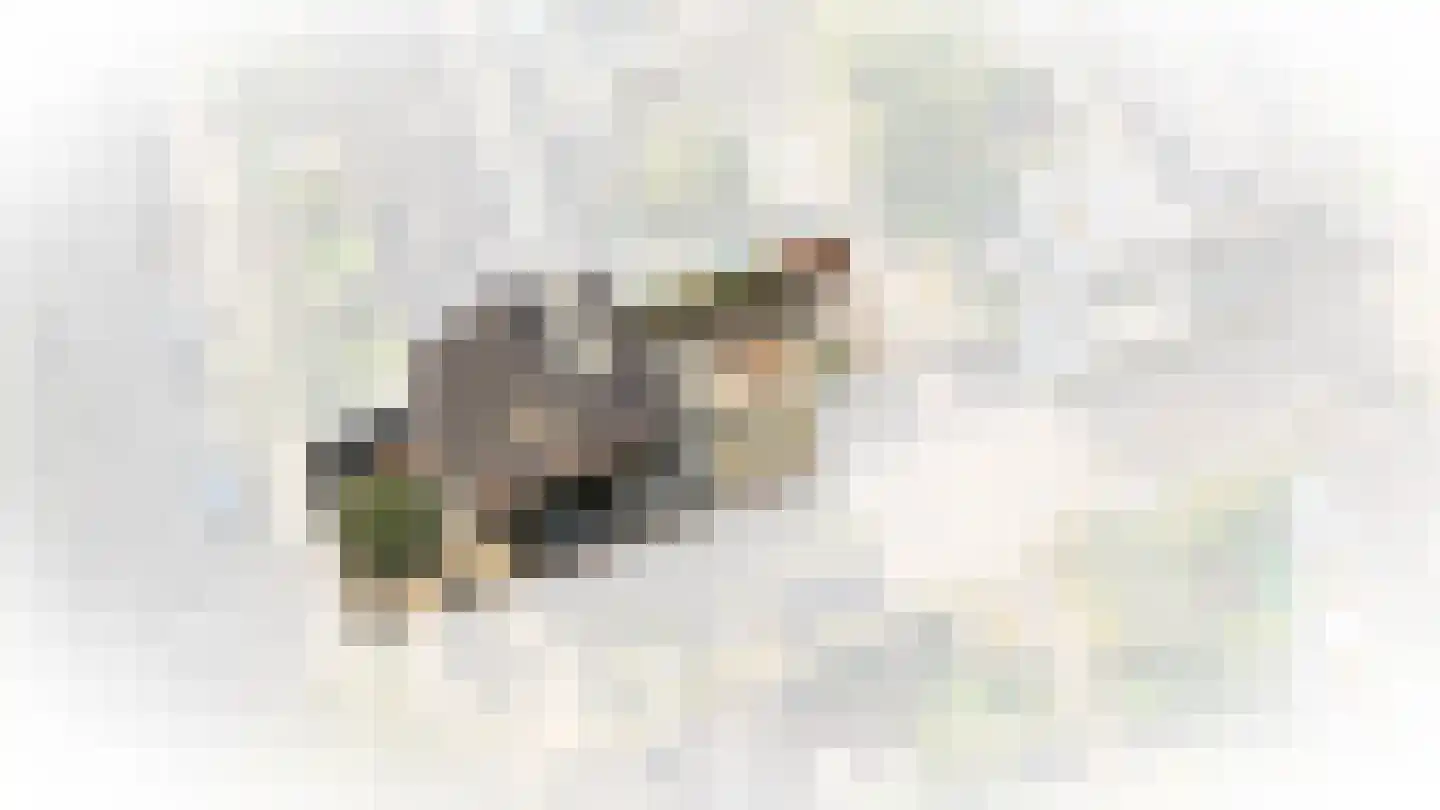 Winklerlaan 56 Utrecht thumbnail 62