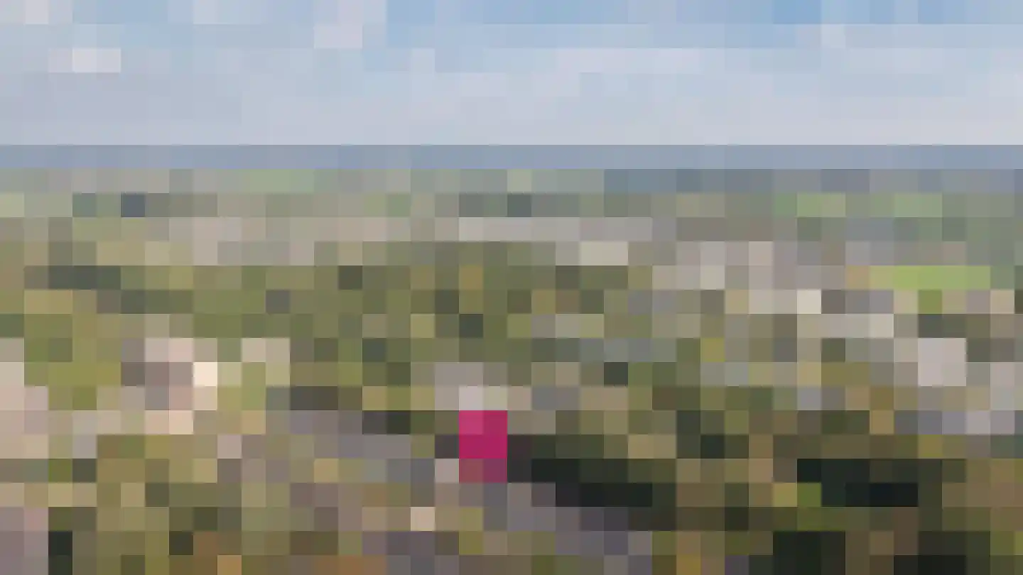 Winklerlaan 56 Utrecht thumbnail 64