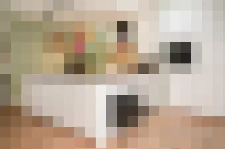 Winklerlaan 80 Utrecht thumbnail 12