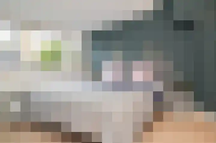 Winklerlaan 80 Utrecht thumbnail 18