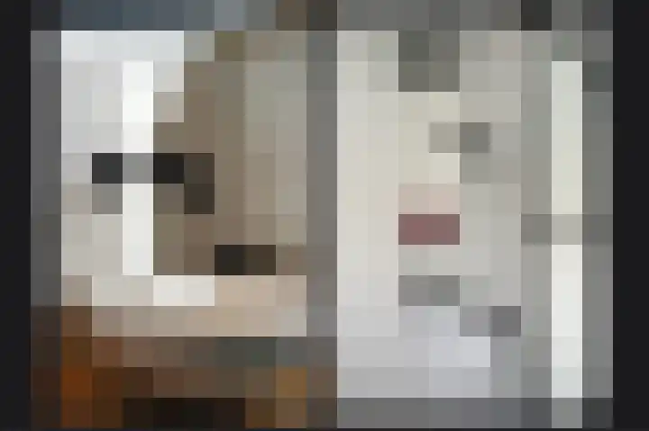Winklerlaan 80 Utrecht thumbnail 35