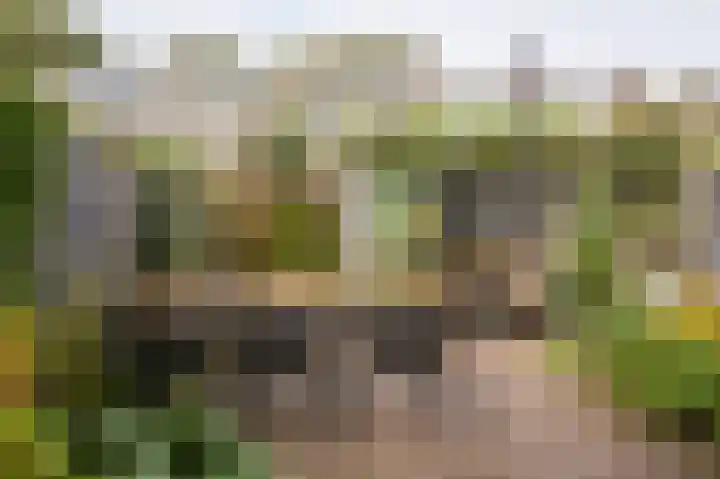 Winklerlaan 80 Utrecht thumbnail 37