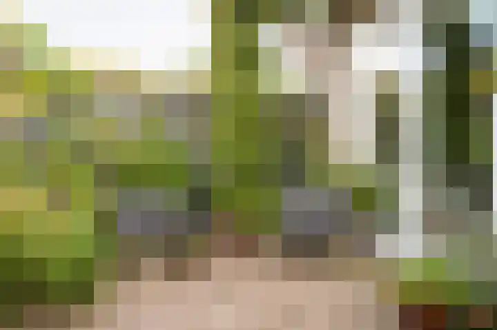 Winklerlaan 80 Utrecht thumbnail 39