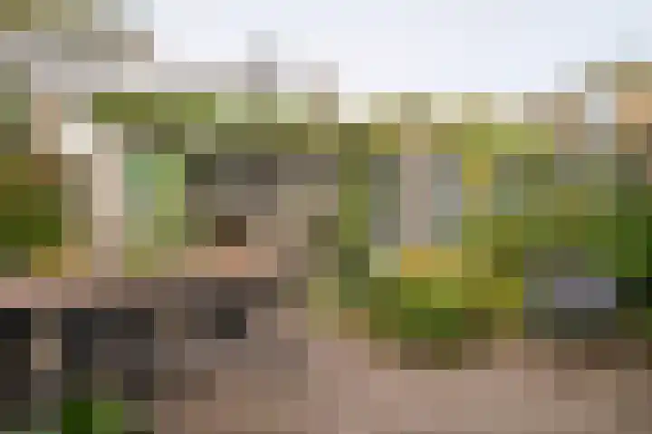Winklerlaan 80 Utrecht thumbnail 42