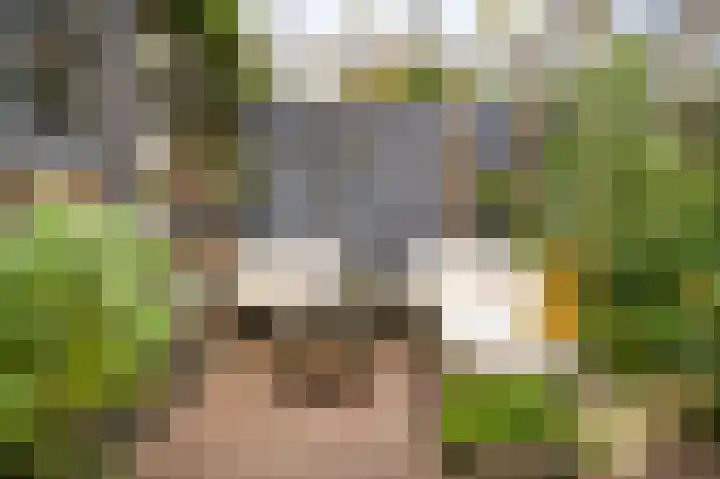 Winklerlaan 80 Utrecht thumbnail 43