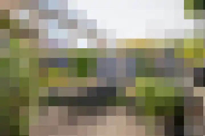 Winklerlaan 80 Utrecht thumbnail 45