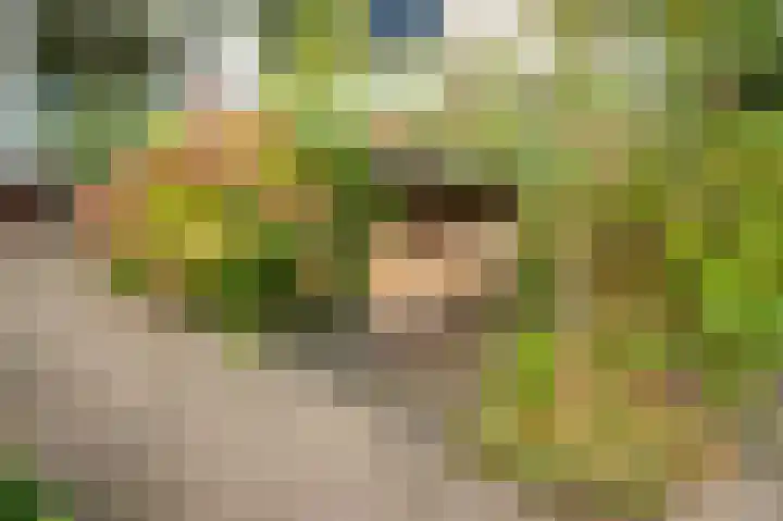 Winklerlaan 80 Utrecht thumbnail 49