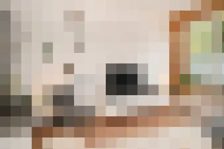Winklerlaan 80 Utrecht thumbnail 5