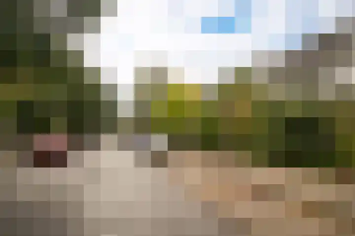 Winklerlaan 80 Utrecht thumbnail 50
