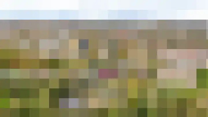 Winklerlaan 80 Utrecht thumbnail 54