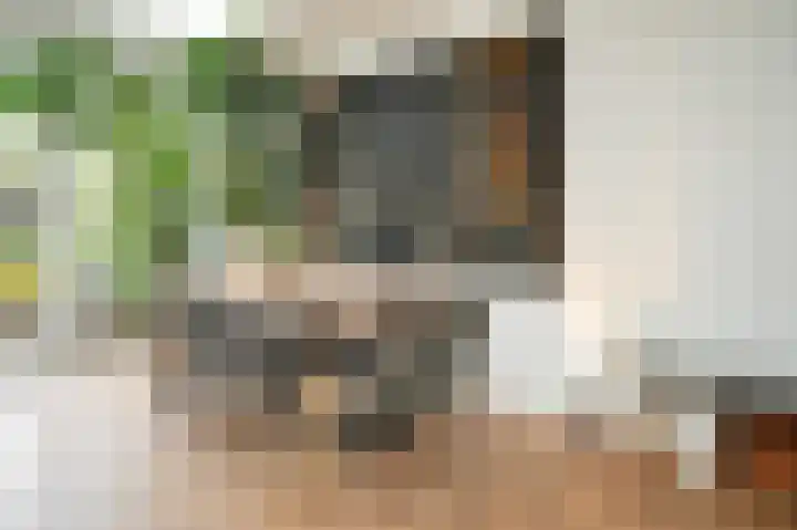 Winklerlaan 80 Utrecht thumbnail 9