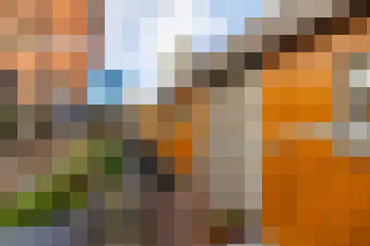 Winschoterdiep 1001 a Groningen thumbnail 10