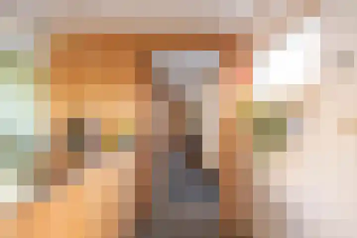 Winschoterdiep 1001 a Groningen thumbnail 26