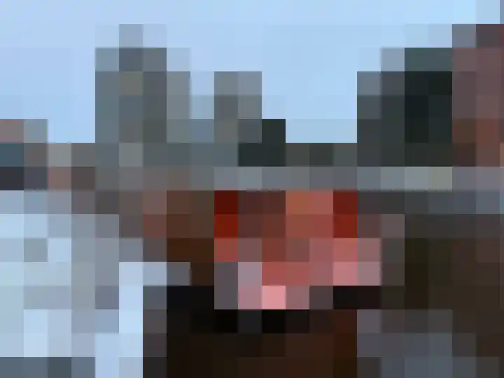 Winschoterdiep 1001 a Groningen thumbnail 45