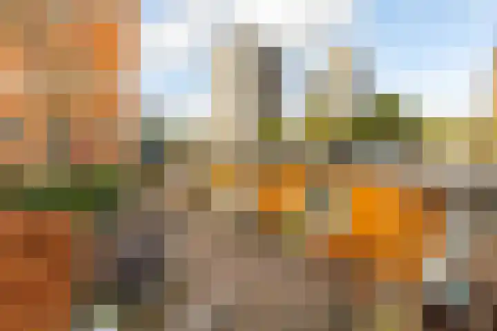Winschoterdiep 1001 a Groningen thumbnail 7