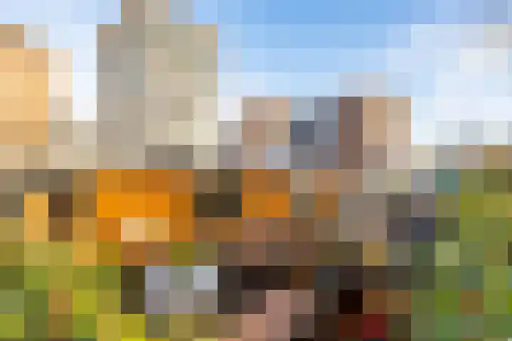 Winschoterdiep 1001 a Groningen thumbnail 9