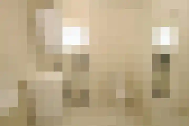 Winschoterdiep 1001 Groningen thumbnail 16