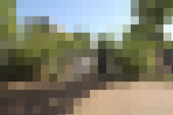 Winschoterdiep 1001 Groningen thumbnail 19