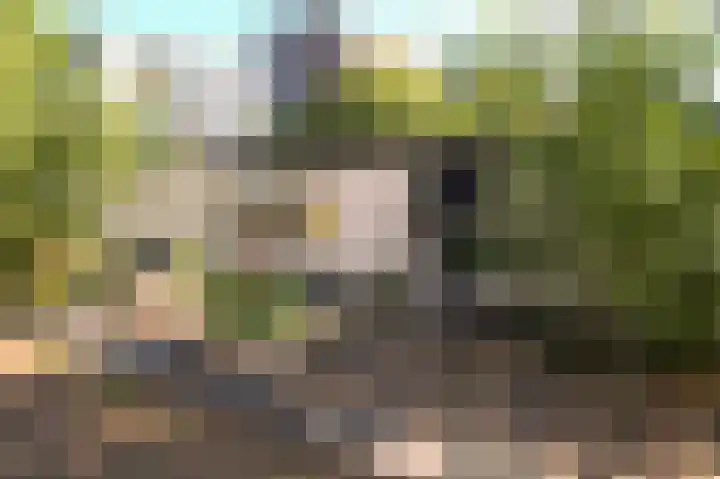 Winschoterdiep 1001 Groningen thumbnail 20