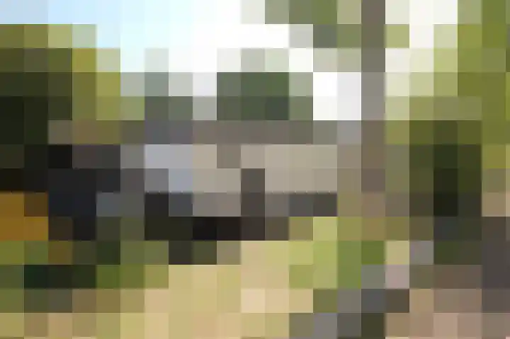 Winschoterdiep 1001 Groningen thumbnail 23