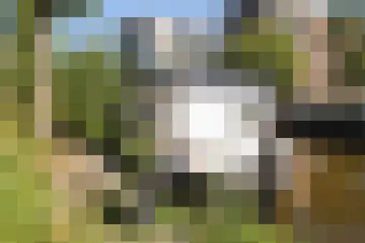 Winschoterdiep 1001 Groningen thumbnail 25