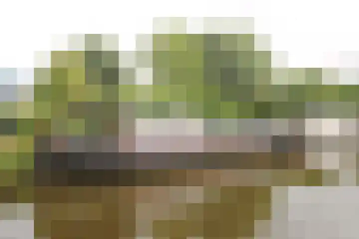 Winschoterdiep 1044 Groningen thumbnail 16