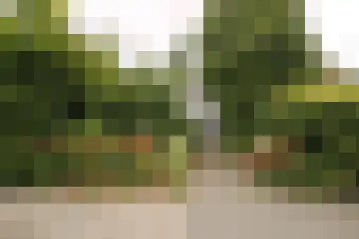 Winschoterdiep 1044 Groningen thumbnail 4