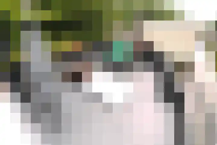 Winschoterdiep 1044 Groningen thumbnail 8
