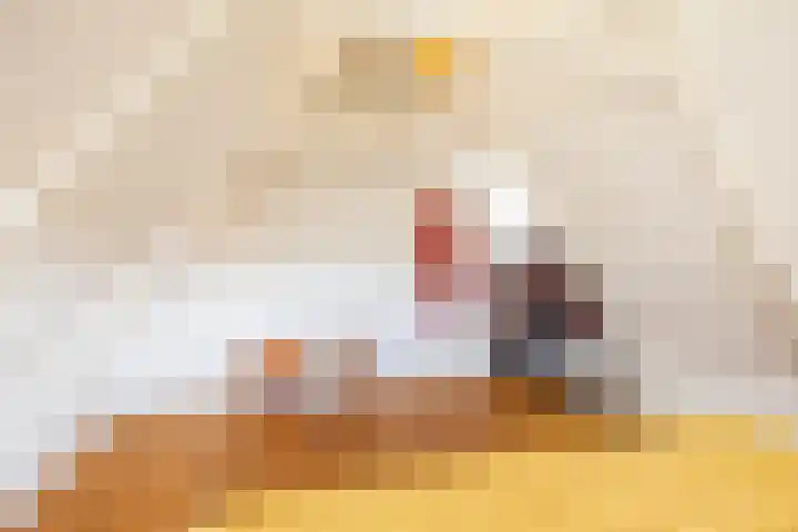 Winschoterdiep 127 Groningen thumbnail 38
