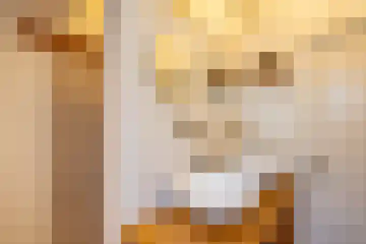 Winschoterdiep 127 Groningen thumbnail 44