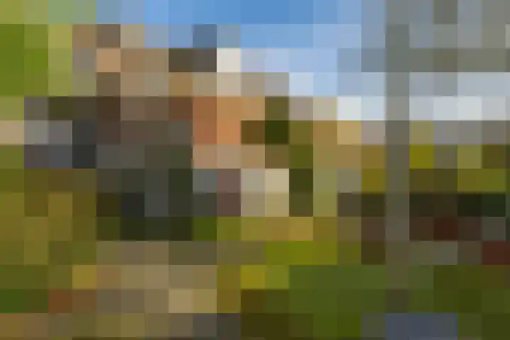 Winschoterdiep 127 Groningen thumbnail 47