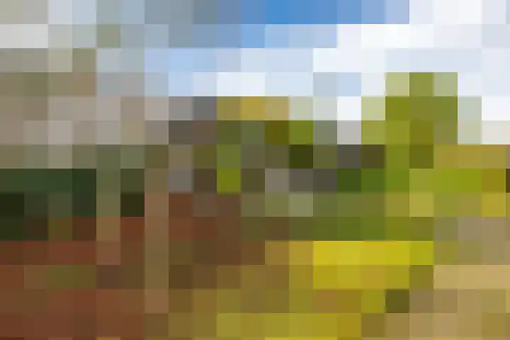 Winschoterdiep 127 Groningen thumbnail 52