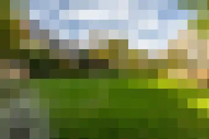 Winschoterdiep 127 Groningen thumbnail 53