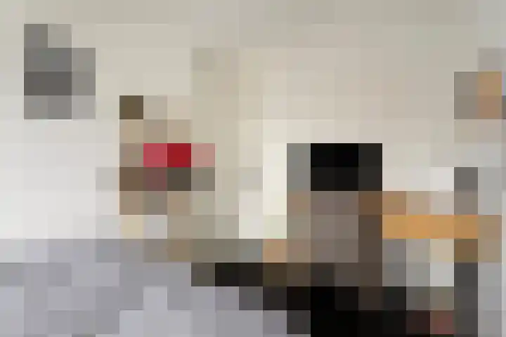Winschoterdiep 149 b Groningen thumbnail 25