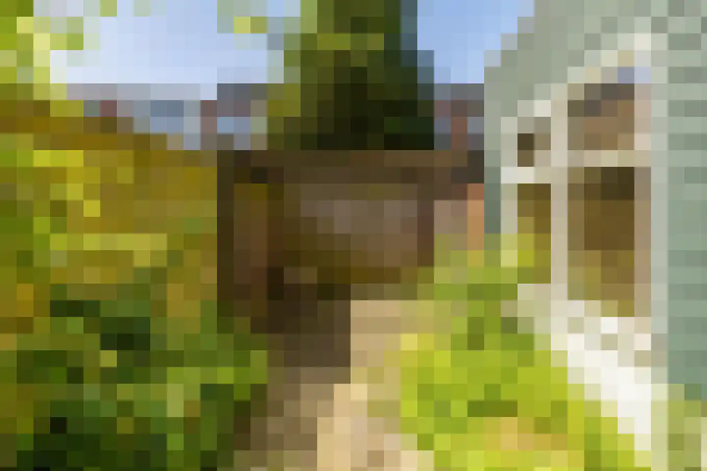 Winschoterdiep 151 Groningen thumbnail 34