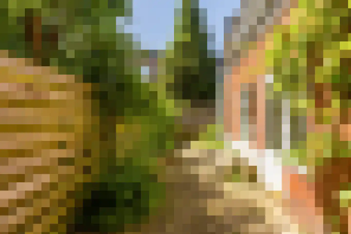 Winschoterdiep 151 Groningen thumbnail 6