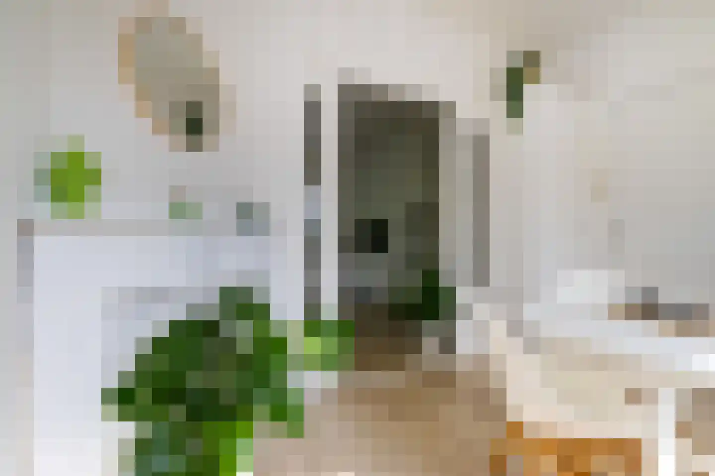 Winschoterdiep 153 b Groningen thumbnail 16