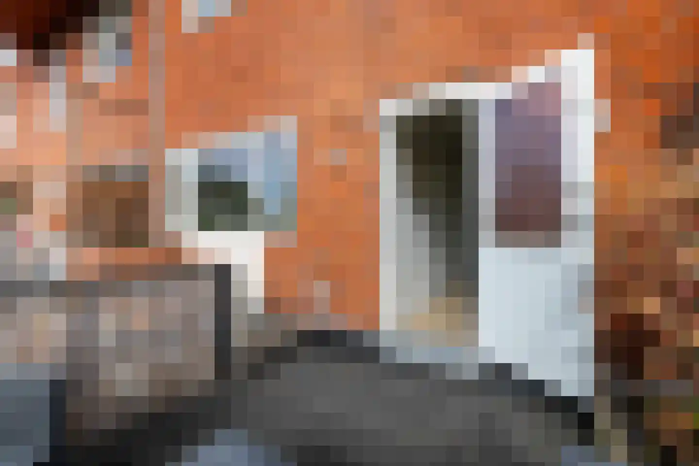 Winschoterdiep 153 b Groningen thumbnail 27