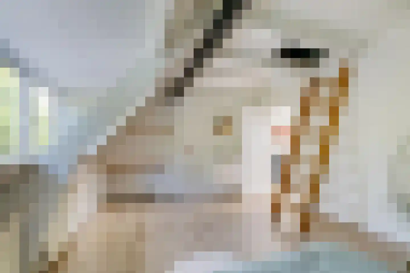 Winschoterdiep 153 b Groningen thumbnail 33