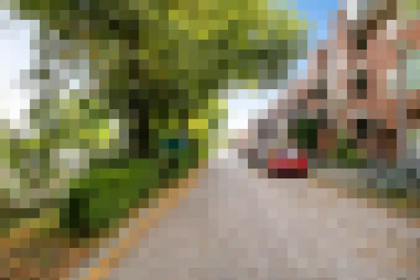 Winschoterdiep 153 b Groningen thumbnail 4