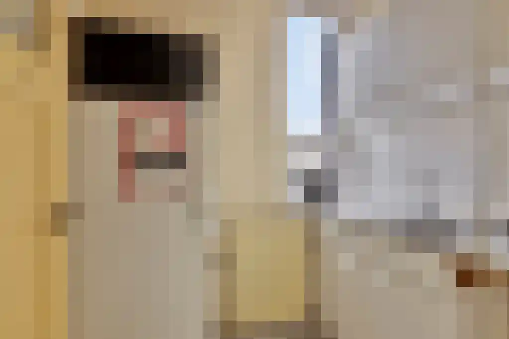 Winschoterdiep 157 a Groningen thumbnail 4