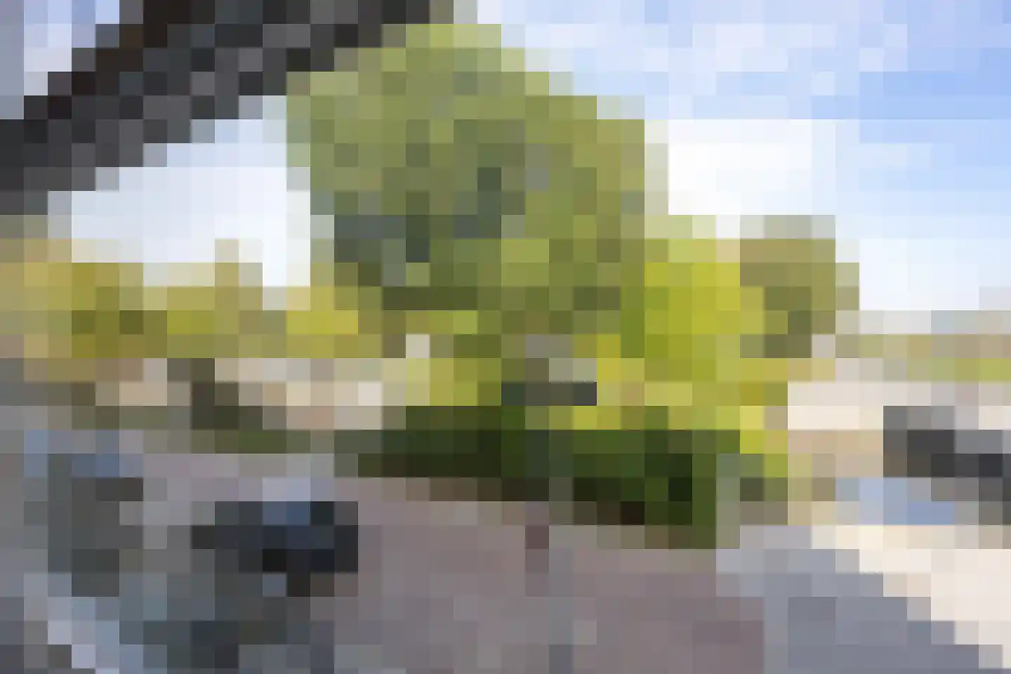 Winschoterdiep 173 a Groningen thumbnail 15