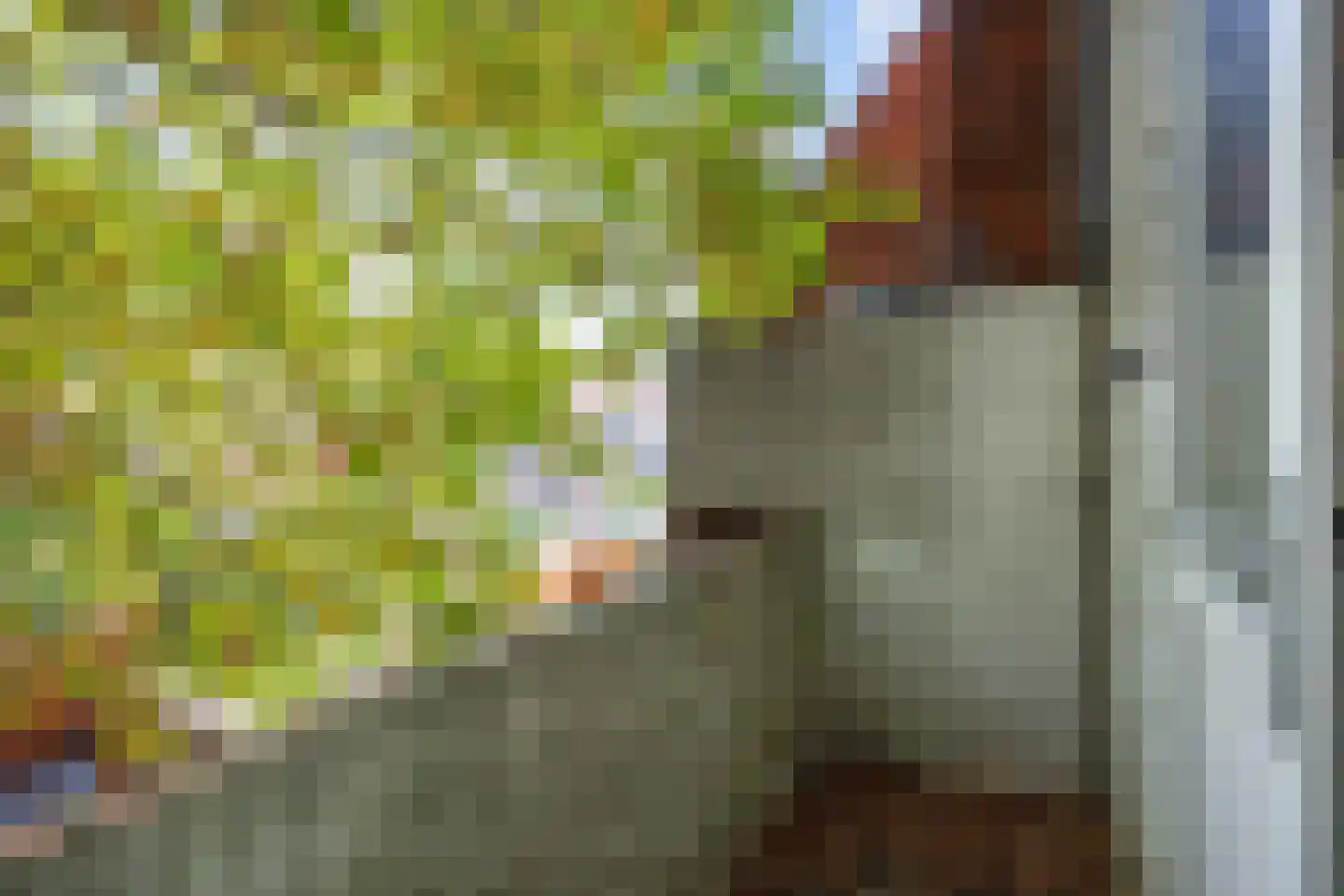 Winschoterdiep 173 a Groningen thumbnail 26