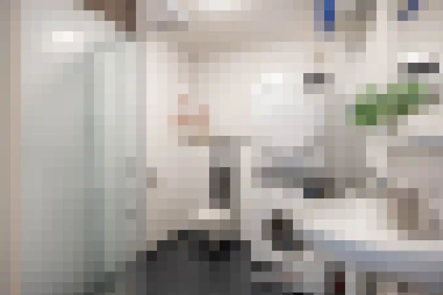Winschoterdiep 173 b Groningen thumbnail 26