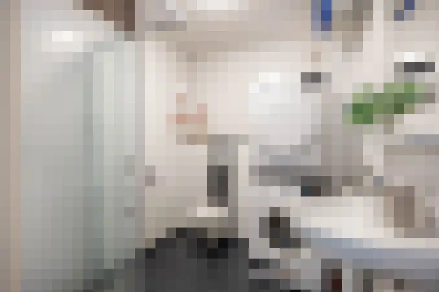 Winschoterdiep 173 b Groningen thumbnail 6