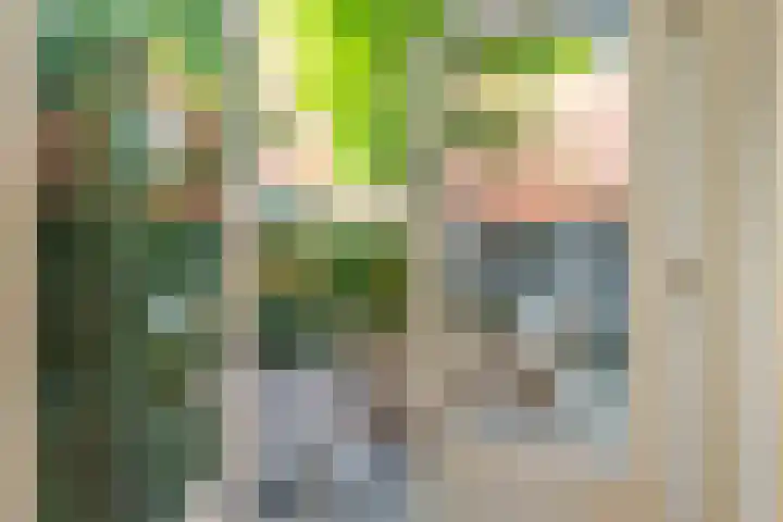 Winschoterdiep 185 Groningen thumbnail 26
