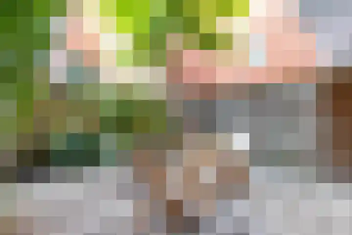 Winschoterdiep 185 Groningen thumbnail 28