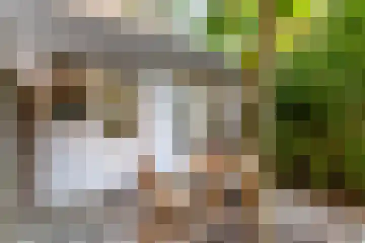 Winschoterdiep 185 Groningen thumbnail 29
