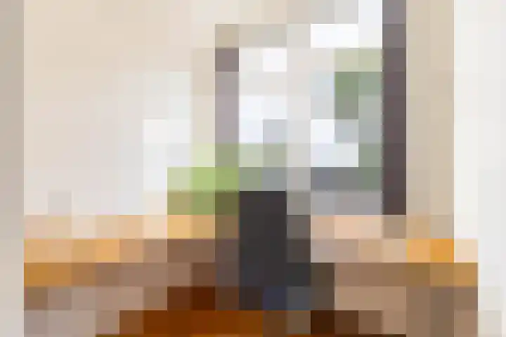 Winschoterdiep 185 Groningen thumbnail 37
