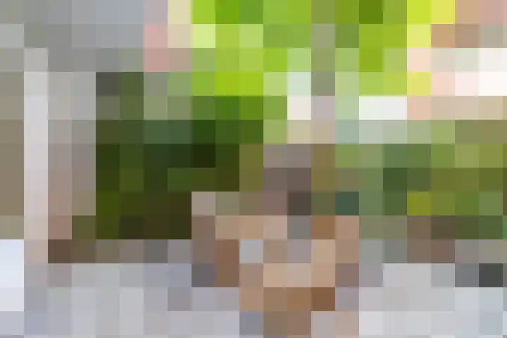 Winschoterdiep 185 Groningen thumbnail 5